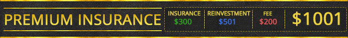 Premium Insurance | $300 | $501 | $200 | Total: $1001